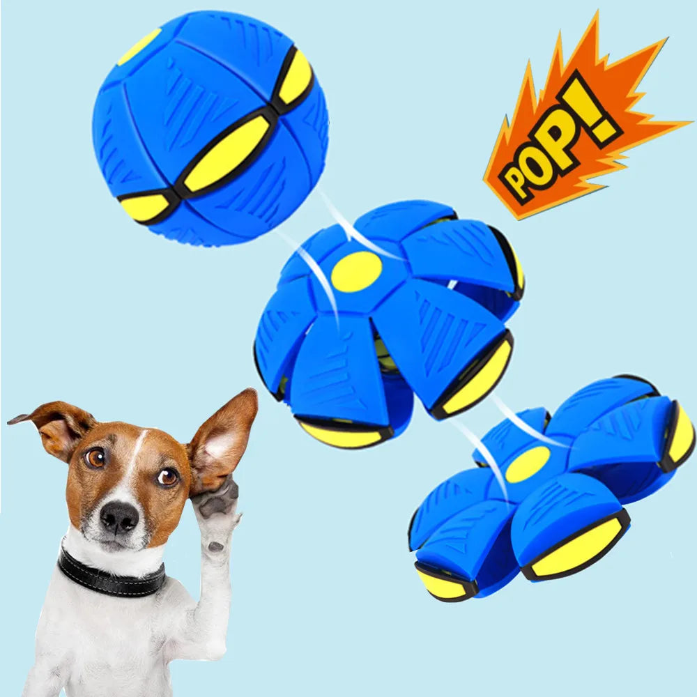 Flat-n-Toss Ball